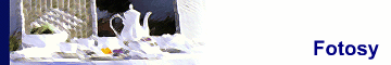 Fotosy